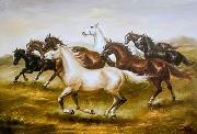unknow artist Horses 04 Germany oil painting artist
